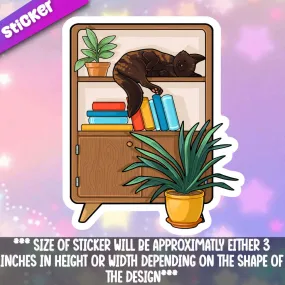 Cat- Sleeping in bookcase