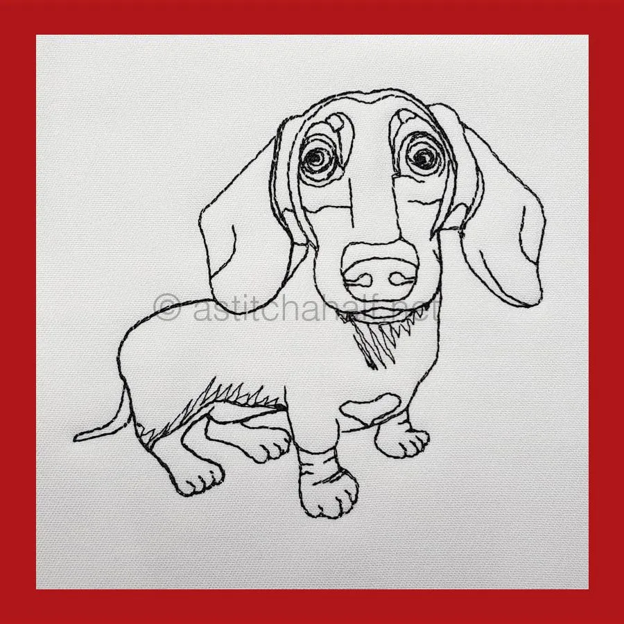 Dachshund with Glasses