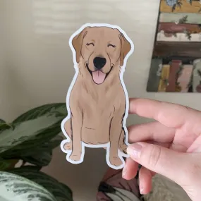 Lab #9 Magnet