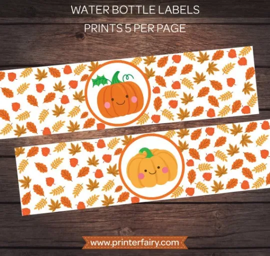 Little Pumpkin Party Pack