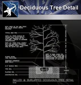 【Roof Details】Free Deciduous Tree Detail